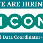 ICON Strategic Solutions